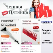 Черная пятница