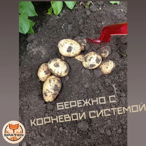 Рыхлитель бережный подкоп корней Рыхлитель бережный подкоп корней